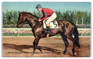 1950 Champion Race Horse Citation at Hialeah Race Course, Miami, FL Postcard