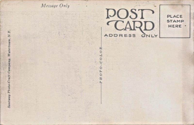 PINE CAMP NY~NON-COMMISSIONED OFFICERS RECEIVING PROMOTIONS-US MILITARY POSTCARD