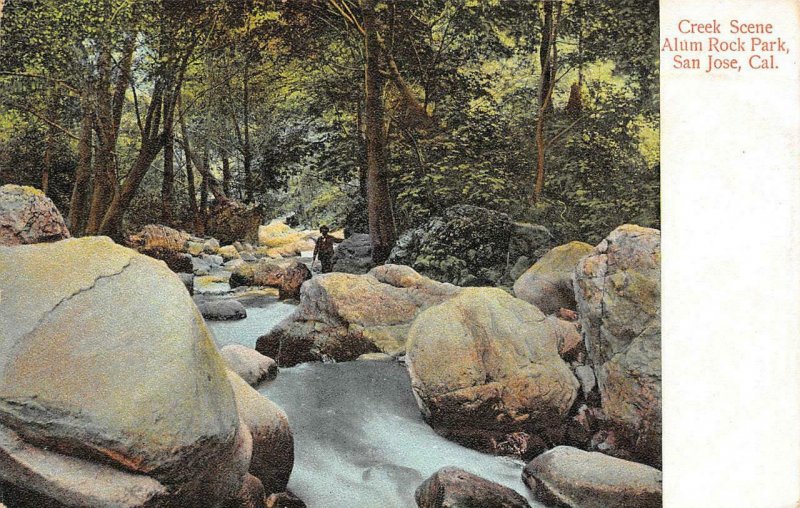 Creek Scene, Alum Rock Park, San Jose, CA Antique ca 1910s Vintage Postcard