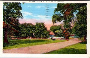 Postcard BRIDGE SCENE Springfield Missouri MO AK4699