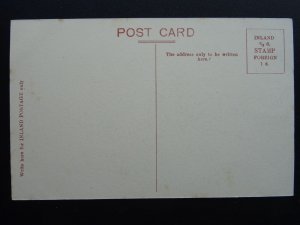 Suffolk Eye BROME HALL Demolished in 1958 c1907 Postcard