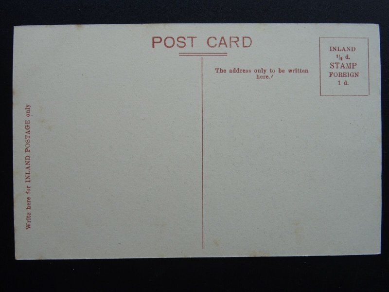 Suffolk Eye BROME HALL Demolished in 1958 c1907 Postcard