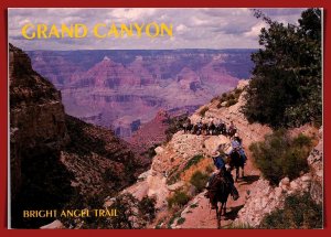 Arizona,  Grand Canyon - Bright Angel Point  - [AZ-425X]