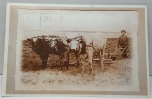 Homesteader  Fielding Saskatchewan Canada Vintage Postcard