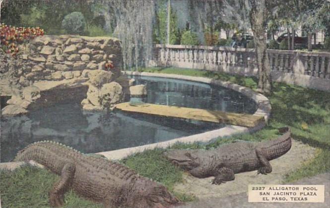 Texas El Paso Alligator Pool San Jacinta Plaza