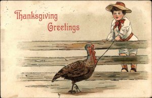 Thanksgiving - Little Boy Catching Turkey HBG Griggs c1910 Postcard