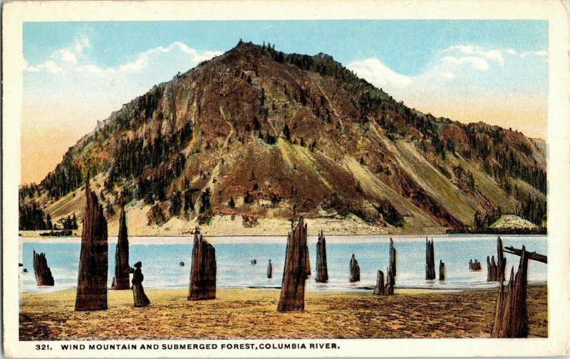 Wind Mountain Submerged Forest Columbia River Washington Vintage Postcard UNP 