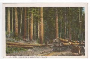 Logging Railroad Train in Washington Forest 1920s postcard