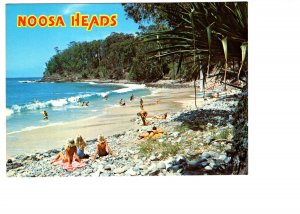 Beach, Little Cove, Noosa Heads, Queensland, Australia