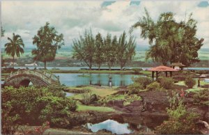 State View~Liliuokalani Park On Shoreline Of Hilo Bay~Vintage Postcard