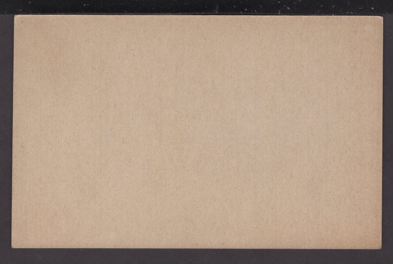 Your Future Partner, Your Future Wife, Non Postcard Blank Back - COPR1941