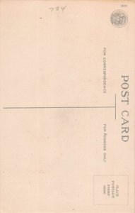 J78/ Halloween Postcard Holiday c1910 Jack-O-Lantern Bat Ladder 280