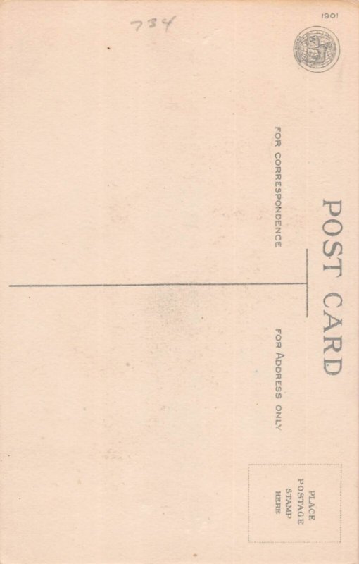 J78/ Halloween Postcard Holiday c1910 Jack-O-Lantern Bat Ladder 280