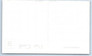 DEER RIVER, MN ~ Bowstring Lake SCHULE'S CAMP BOWSTRING Cabin Lane Postcard