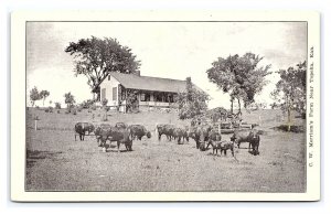 Postcard C. W. Merriam's Farm Near Topeka Kansas Cattle Grazing