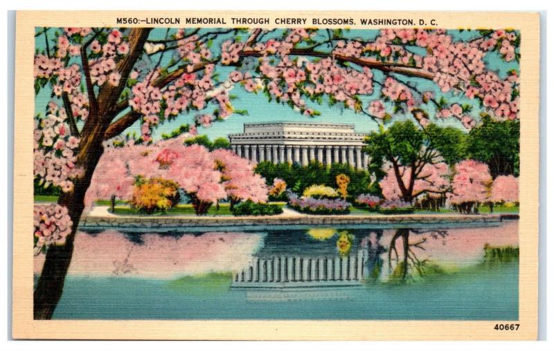 Mid-1900s Lincoln Memorial through the Cherry Blossoms, Washington, DC Postcard