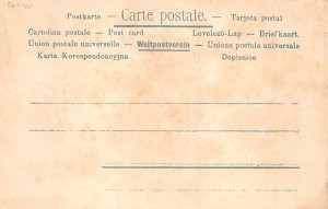 B199 Humanized Pigs as Couple on the Dance Floor Comic Humor postcard