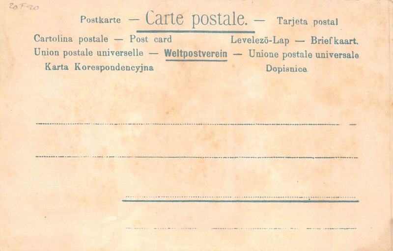 B199 Humanized Pigs as Couple on the Dance Floor Comic Humor postcard