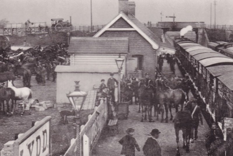 Lydd Station in 1909 Ashford Kent Railway Royal Horse Artillery Postcard