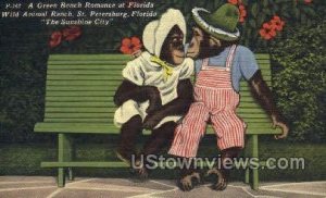 Wild Animal Ranch - St Petersburg, Florida FL  