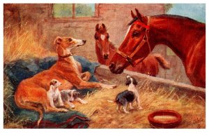 Dog , Dogs and Horses