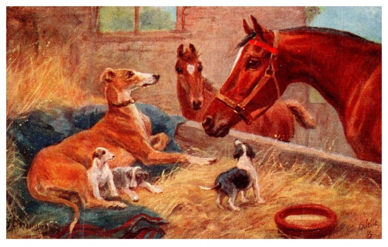 Dog , Dogs and Horses