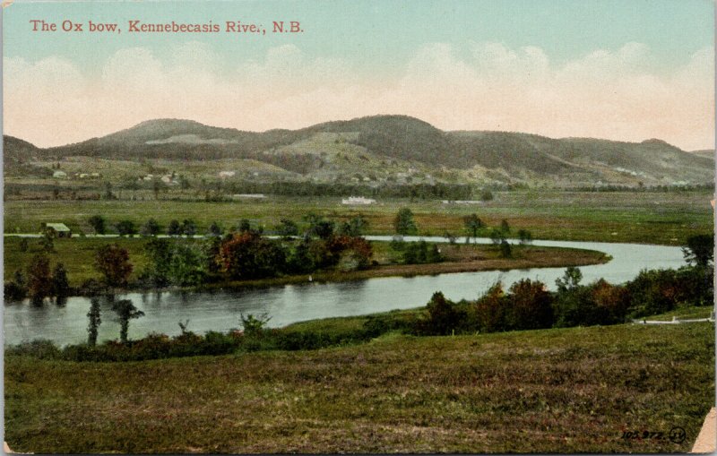 The Ox Bow Kennebecasis River NB New Brunswick Unused Postcard F30