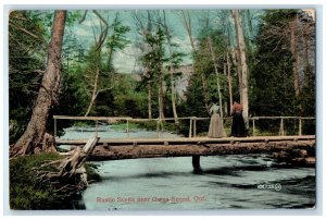 1909 Rustic Scene Near Owen Sound Ontario Canada Posted Antique Postcard
