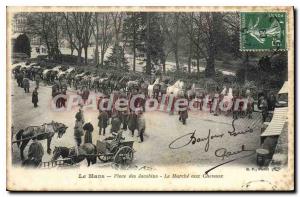 Old Postcard Le Mans Place Des Jacobins The March To Horses