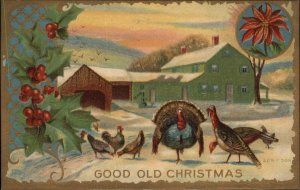 Christmas Turkeys on Farm Poinsettias Holly Gilt Embossed c1900s-20s Postcard