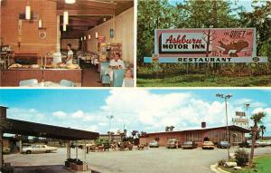 Ashburn Motor Inn Honeybear Restaurant Postcard