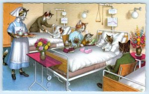 Mainzer DRESSED CATS Anthropomorphic HOSPITAL VISIT Nurse #4879 Belgium Postcard