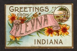 IN Greetings from PLEVNA INDIANA Postcard PC Scroll