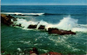 Pacific Seacoast Marine Hwy 101 Postcard UNP VTG Mirro Unused Vintage 