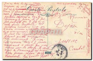 Old Postcard Nice Palmiers du Chateau