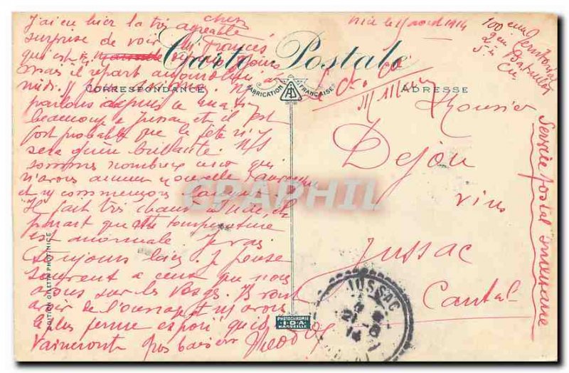 Old Postcard Nice Palmiers du Chateau