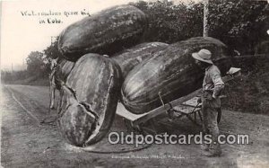 Exaggeration Farming Watermelons Colorado, USA Unused 