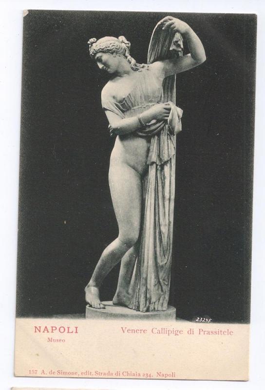 Napoli Museo Venere Callipige di Prassitele Statue Venus UDB