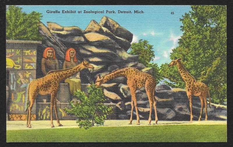 Giraffe Exhibit Zoological Park Detroit Michigan Unused c1940s