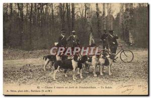 Old Postcard Hunting hounds in a Forest of Fontainebleau A Velo Cycle relay