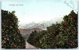 M-56459 Oranges and Snow California USA