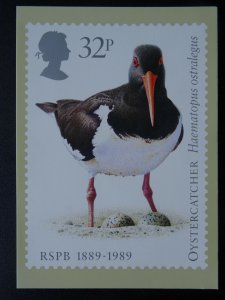 RSPB 1889-1989 OYSTERCATCHER Haematopus ostralegus 1989 PHQ 115(c) 1/89 Postcard