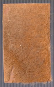 Genuine Kankaroo Hide Divided Back Postcard