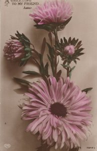 A Greeting To My Friend Aster Greek Name Antique WW1 Postcard