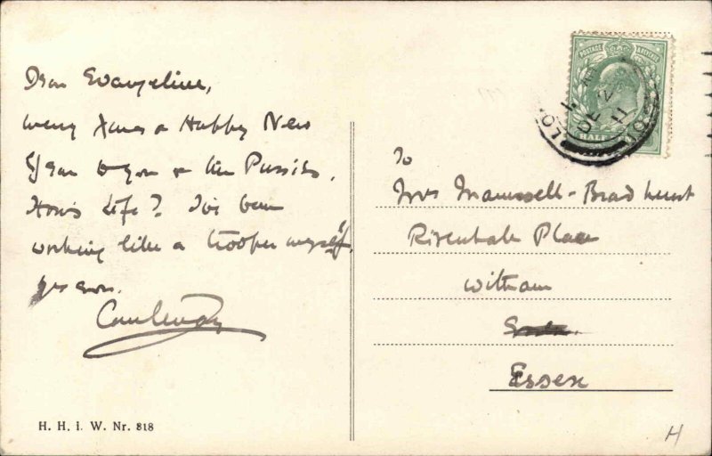 Fantasy Kitty Cats New Year Airplane Drinking Champagne c1910 Postcard