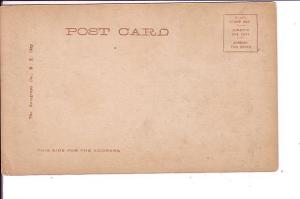 Mrs. Fiske, Actress, Rotograph Great Costume, Vintage Postcard