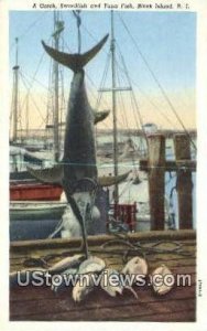 Swordfish & Tuna Fish - Block Island, Rhode Island