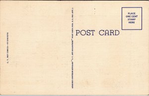 postcard comic Drunk and dog - Gosh things do double here Rover is twins