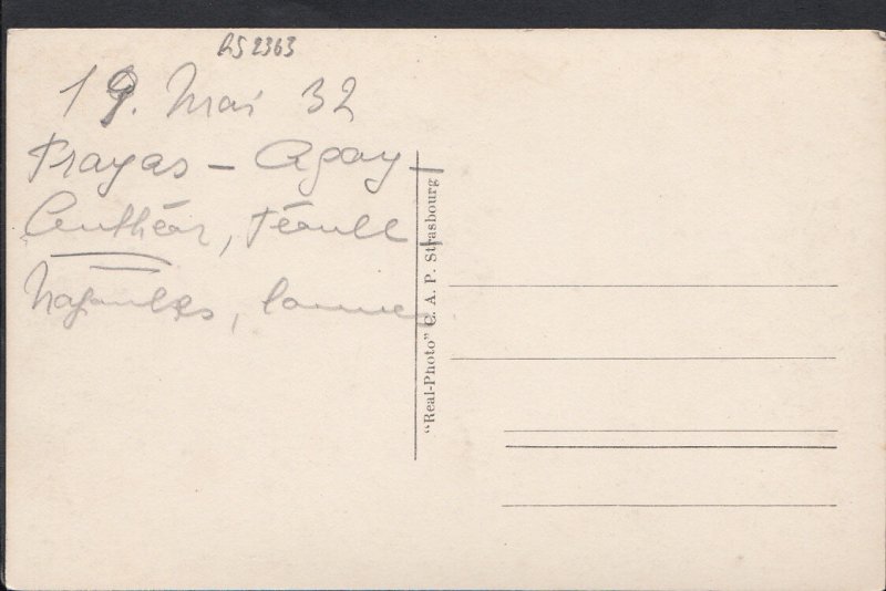 France Postcard - Esterel - Antheor   RS2363