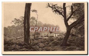 Landes Old Postcard A farm in the Landes